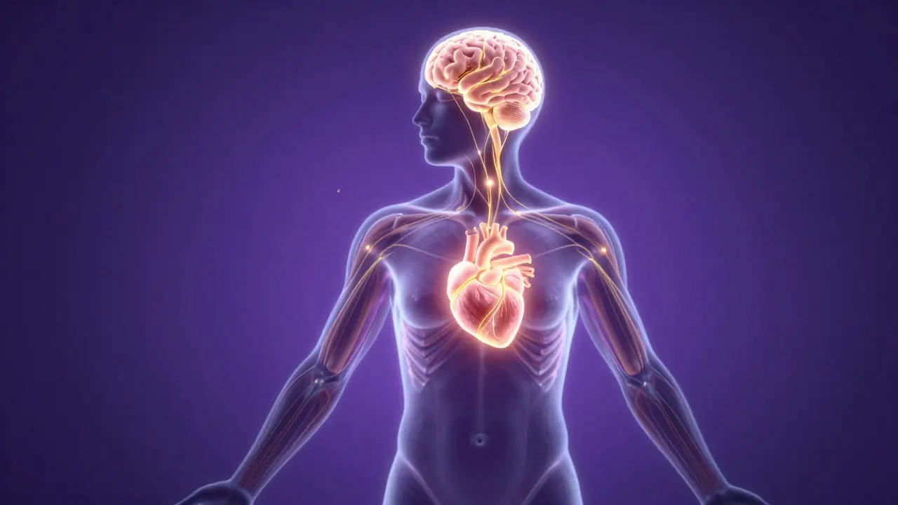 Holistická masáž: Kompletní průvodce pro tělo i mysl